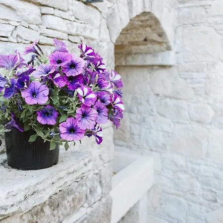 Villa Ariadni Vasa Kilaniou